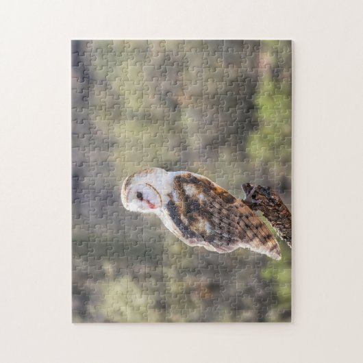 Puzzel: Schuur Uil 1 Legpuzzel (Verticaal)