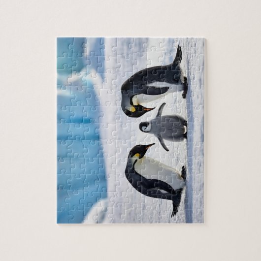 Puzzel van de pinguïnfamilie legpuzzel (Verticaal)