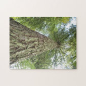 Puzzel van mooie bomen (Horizontaal)