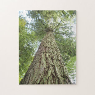 Puzzel van mooie bomen