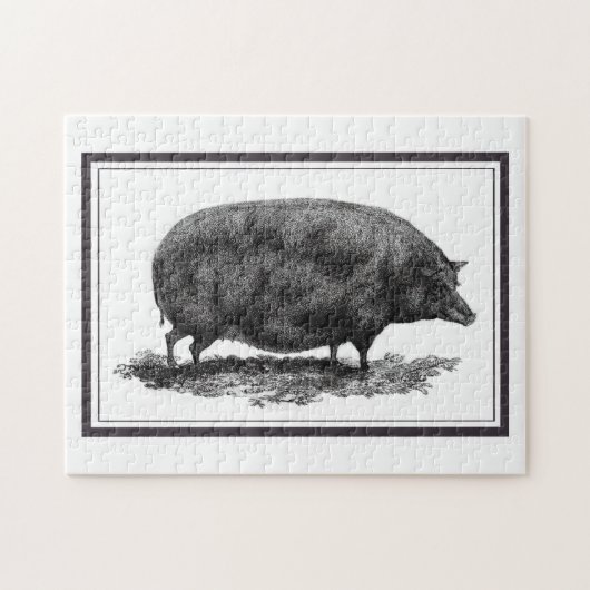 puzzel voor het etsen van varkens (Horizontaal)