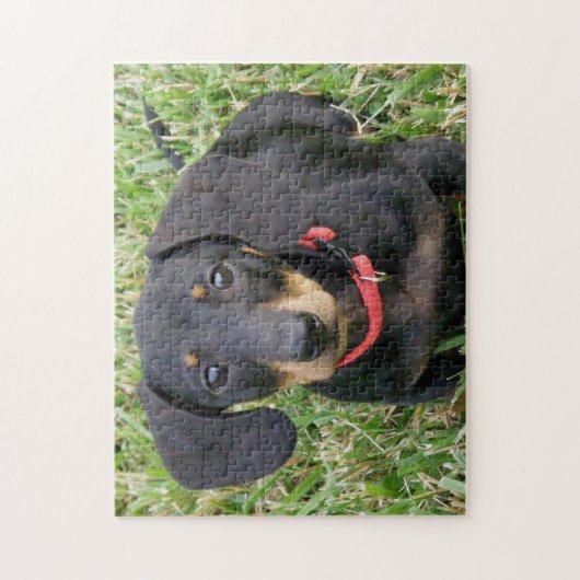 puzzel voor puzzels - Dachshund (Verticaal)