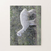 Puzzel - Witte Alpaca (Verticaal)