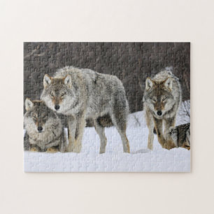 Puzzel Yellowstone Wolven
