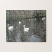 Puzzel zwanen zwemmen (Horizontaal)
