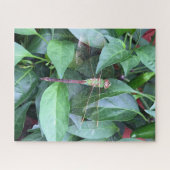 puzzellibel legpuzzel (Horizontaal)