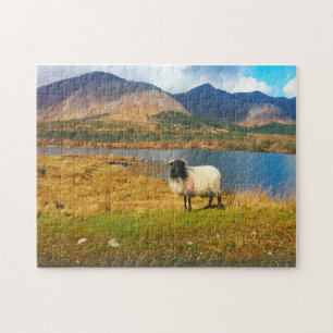 Puzzels Connemara Ierland.