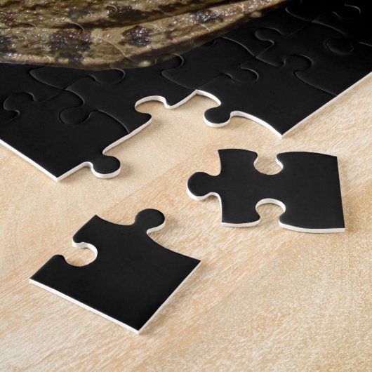 Puzzle (Côté)