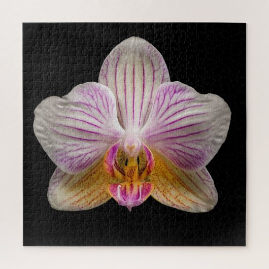Puzzle (Vertical)