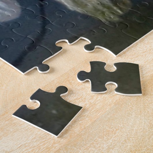 Puzzle (Côté)