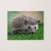 puzzle (Horizontal)