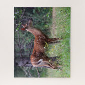 Puzzle (Vertical)