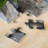 Puzzle (Côté)
