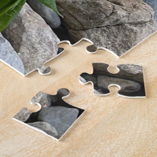 Puzzle (Côté)