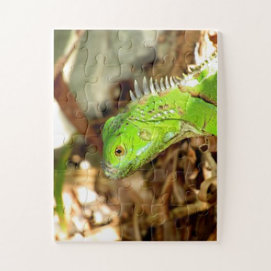 puzzle (Vertical)