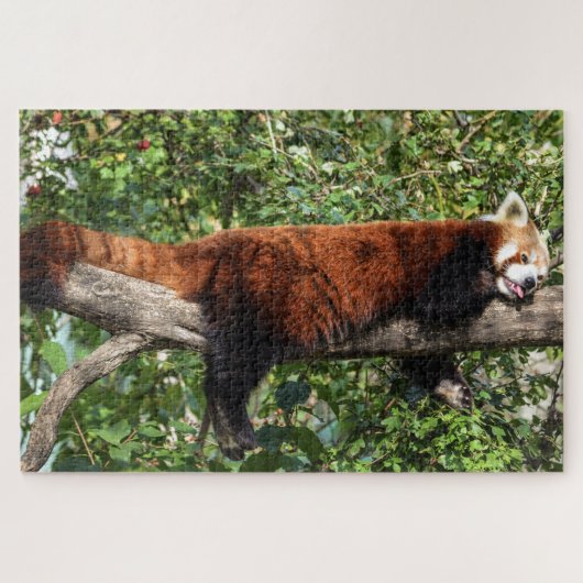puzzle (Horizontal)