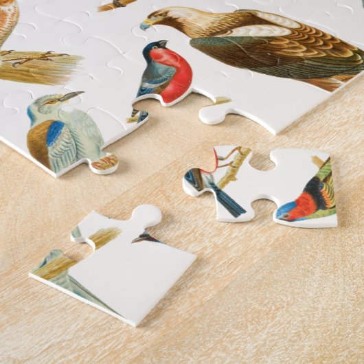 Puzzle (Côté)