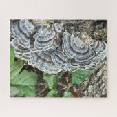 Puzzle (Horizontal)