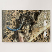 Puzzle (Horizontal)