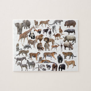 PUZZLE 世 界 の 動 物 良 の 優
