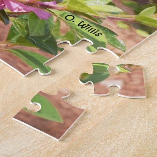 Puzzle 050 oiseaux bleus déconcertent pour toujours les (Côté)