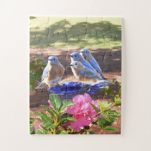 Puzzle 050 oiseaux bleus déconcertent pour toujours les (Vertical)