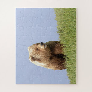 Puzzle 16x20 "56 overmaatse stukken" van grizzly legpuzzel