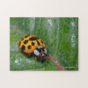 Puzzle 18 taches jaune et noir Ladybug