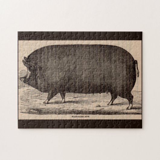 Puzzle 19th century farm animal print Berkshire sow no. 2 (Horizontal)