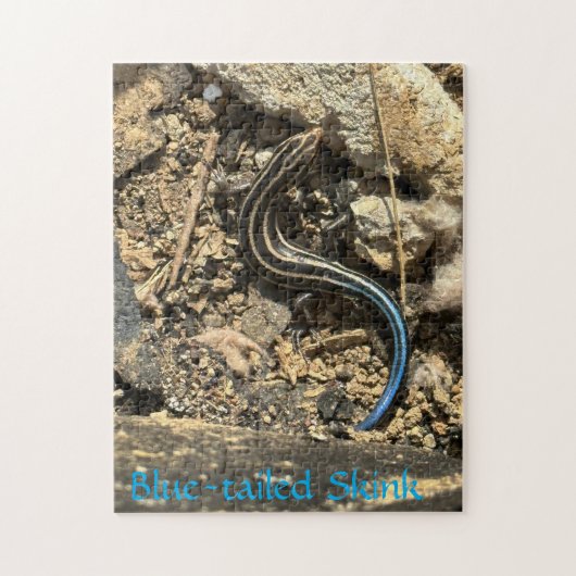 Puzzle 252 pièces (Vertical)