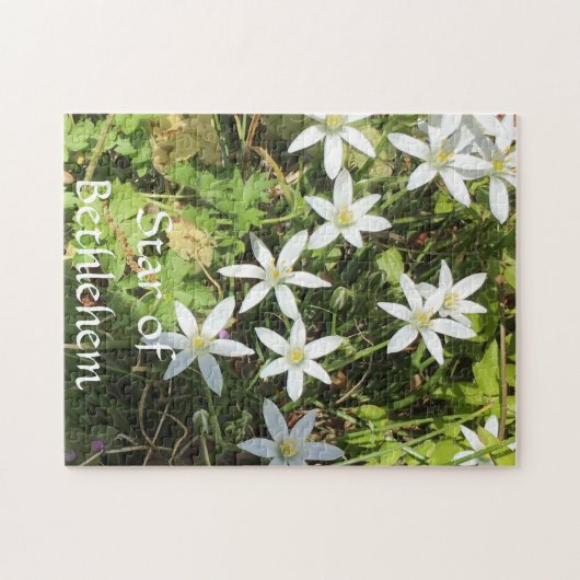 Puzzle 252 pièces (Horizontal)