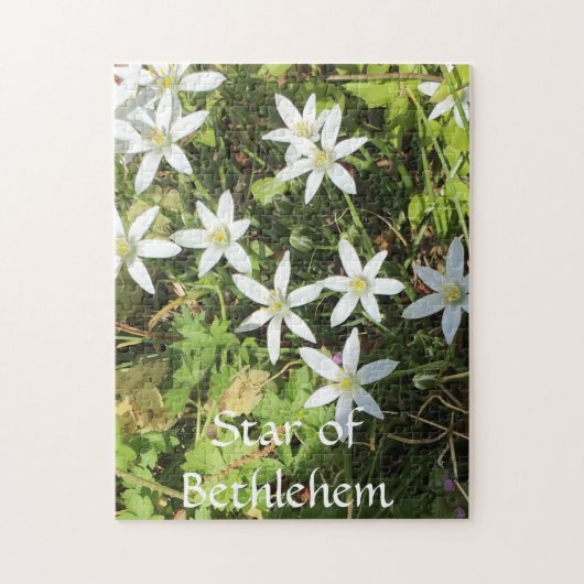 Puzzle 252 pièces (Vertical)