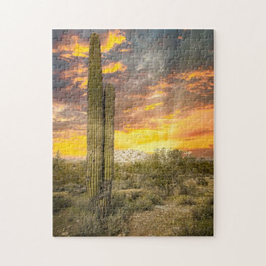 Puzzle 2706-Arizona Desert Landscape at Sunset (Vertical)