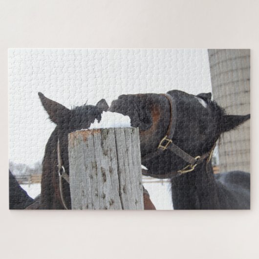Puzzle 2 Chevaux mâchant sur une clôture neigeuse (Horizontal)