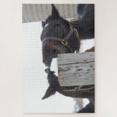 Puzzle 2 Chevaux mâchant sur une clôture neigeuse (Vertical)
