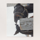 Puzzle 2 Chevaux mignons mâchant sur une clôture (Vertical)