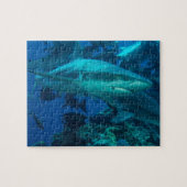 Puzzle 2 de requin (Horizontal)