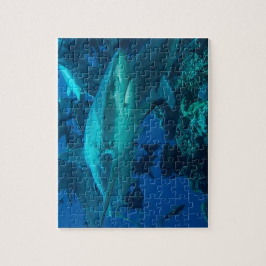 Puzzle 2 de requin (Vertical)