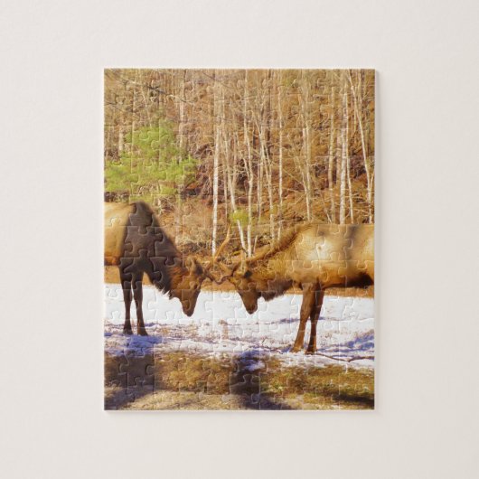 Puzzle 2~ deux Bull Elk dans la neige (Vertical)