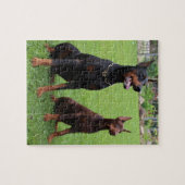 Puzzle 2 dobies.png (Horizontal)