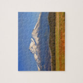 PUZZLE 307 SHASTA DE BÂTI DANS LA CHUTE (Vertical)