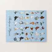 Puzzle 36 races de pigeons (Horizontal)