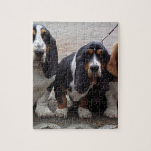 Puzzle 3 chiots basset hound