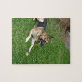 Puzzle 3 german-berger-dépôt.png (Horizontal)