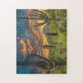 Puzzle 4792-2-Spur Cross Ranch, Cave Creek, Arizona (Vertical)