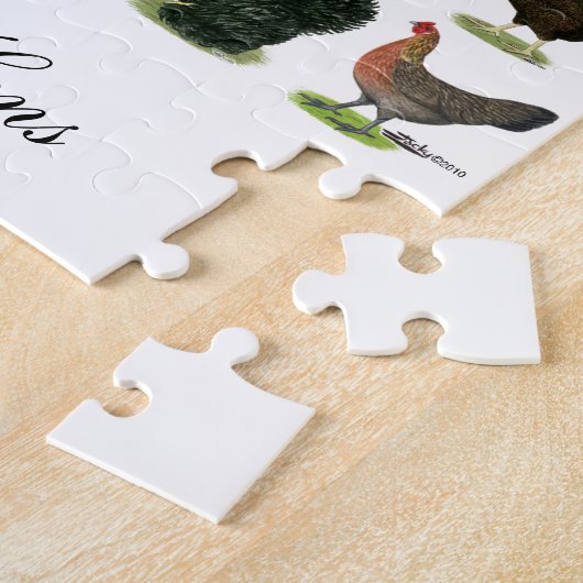 Puzzle 49 poules de poulet (Côté)