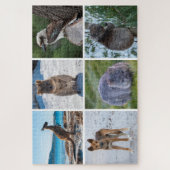 Puzzle 6 en 1 Animaux d'Australie, 1014 pièces (Vertical)