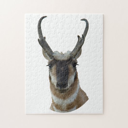 Puzzle A19 Pronghorn Antelope Head (Vertical)