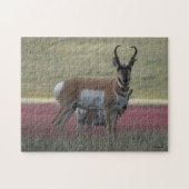 Puzzle A24 Pronghorn Antelope (Horizontal)