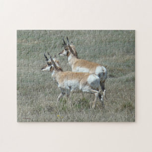 Puzzle A27 Pronghorn Antelope Young Bucks
